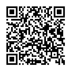 此功法关碍重大……须得拿同等价值的功法来换二维码生成