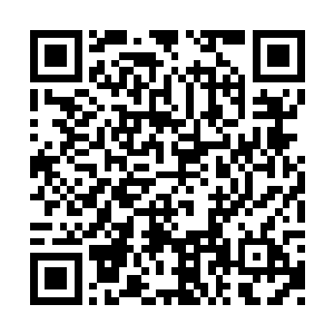 此处乾坤洞天中藏匿的墨族几如漆黑中的萤火虫二维码生成