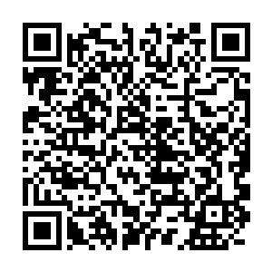 此外切尔西的罗本和阿森纳的法布雷加斯也都是年少成名的天才球员二维码生成