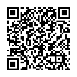 此外才艺以及各方面的综合素质也都是在评判的范围之内二维码生成