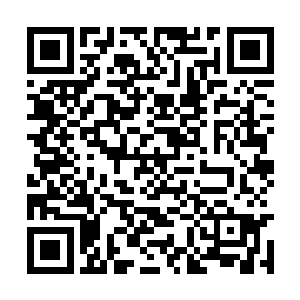 此外还有一些刀山火海和其他团队的零散战斗人员二维码生成