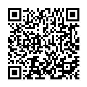 此女不正是在来幽魂秘境前让我觉得有什么熟悉感的女子么二维码生成