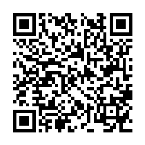 此子身上绝对有提升修炼速度的宝物或丹药的存在二维码生成