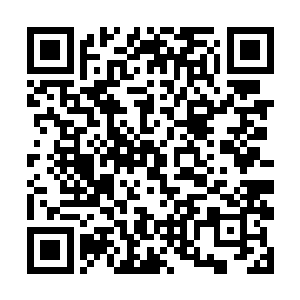 此子辱没我青蛟一族的少主就是对我青蛟一族的蔑视二维码生成