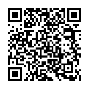 此拳法根据个人悟性和修为不同威力也大不相同二维码生成