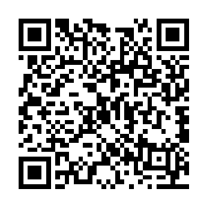 此操控能力随着素质精神力和生命力的提升而提升二维码生成