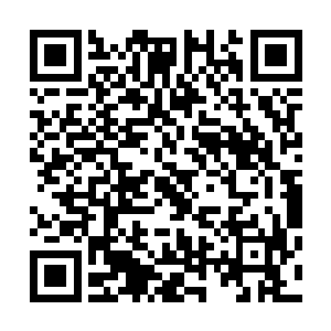 此时一定在冥思苦想为什么这仙界至宝陷仙剑会出现在人间二维码生成
