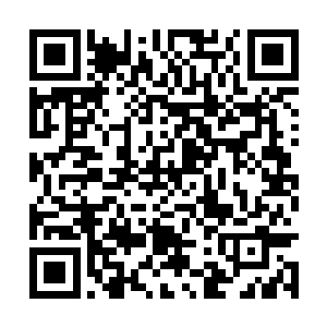此时一记响亮的耳光声音直接将包厢内的众人惊醒二维码生成