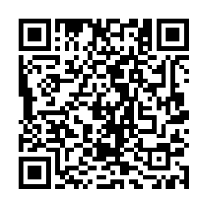 此时两个人只感觉一股无比恐怖的强大的反震之力传来二维码生成