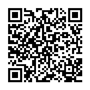 此时两个人在混沌空间之中已经连续不断的走了三天多的时间二维码生成