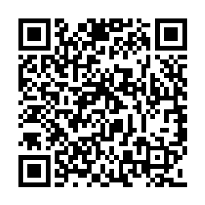 此时两人所处的凉亭在相府后花园的一处假山上二维码生成