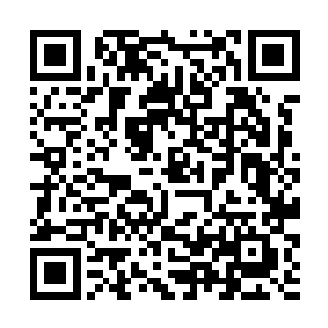 此时他们也知道一旦混沌兽受伤或者死亡留下的血肉二维码生成