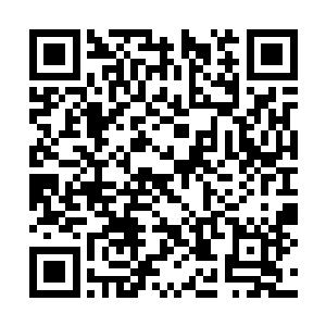 此时他们也都认出来眼前的二十一个箱子是储物箱二维码生成