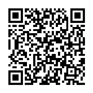 此时他们的目光都聚焦在云台之上的圣级大修士二维码生成