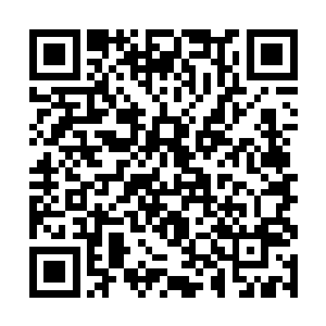 此时他们知道想要凭借蛮力轰破这个空间根本不可能二维码生成
