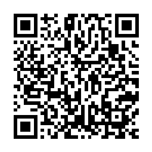 此时他们见到龙傲天和龙霸天都纷纷的走了过来开始打着招呼二维码生成