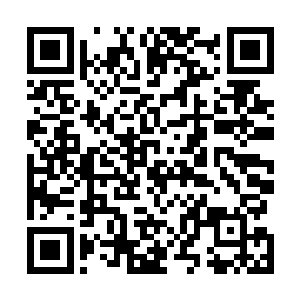 此时他们还都沉浸在许紫烟冲向元婴期大修士的震撼之中二维码生成