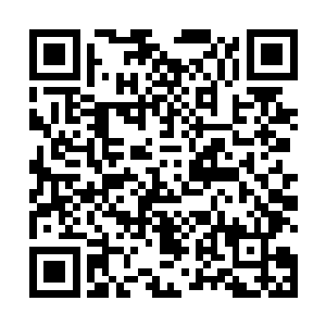 此时他们这些妖兽也都是发自内心的尊重夏天他们三个二维码生成