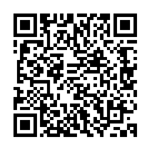 此时他发现自己的修为竟然从虚尊境界跌落到了道君初期的境界二维码生成