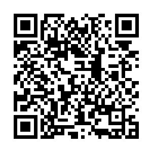 此时他发现自己的手仿佛抓在了一块钢铁之上一般二维码生成