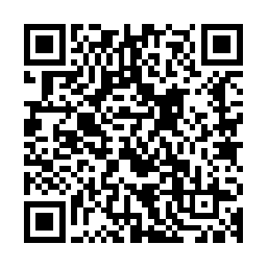 此时他只感觉一股恐怖的死亡的气息瞬间从他的心底升腾了起来二维码生成