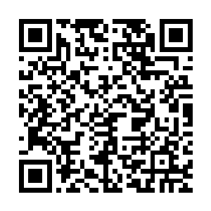 此时他已经彻底的被杨戬那神乎其技的炼丹手段深深的吸引住了二维码生成