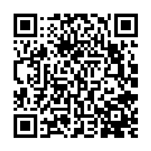 此时他的心中也认识到自己虽然如今坐在了百族盟主的位子上二维码生成