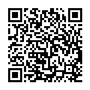 此时他的脸上都满是凝重和惊骇的望着虚空之中不断成型的劫云二维码生成