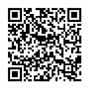 此时他身旁的十道身影里面就有一个是洪剑门的门主二维码生成