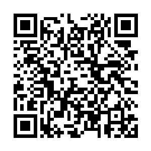 此时作为当事人的许紫烟却是安逸地坐在自己的房间里二维码生成