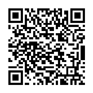 此时佣兵总会这里正好是靠近追月战区和奔雷战区的二维码生成