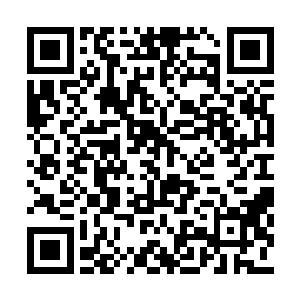 此时倪备举恭恭敬敬的站在一个中年美妇的身边二维码生成