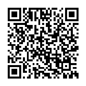 此时全靠内息中的一道真气维系着神智一线清明二维码生成