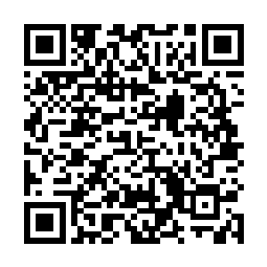 此时几乎所有人的目光都落到了龙傲天手中的丹药上面二维码生成