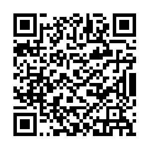 此时凤火舞的一身修为虽然说没有杨戬那么恐怖二维码生成