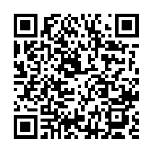 此时凤火舞跟之前的时候也有了恐怖的天翻地覆的变化二维码生成