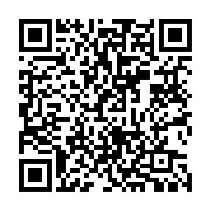 此时凤火舞跟杨戬之间可以说是已经达到了心有灵犀的程度二维码生成