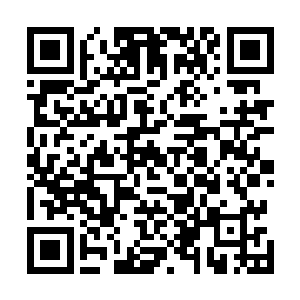 此时出现在众人眼中的蓝色机甲虽然还是人型的框架结构二维码生成