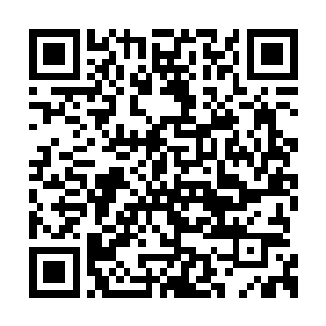 此时千泷梭上正趴着一条巨大的八爪鱼……当然二维码生成