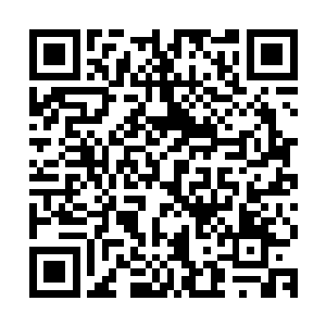 此时卖煎绿茶的大叔用一种看怪物的眼神盯着文森特看了三秒后二维码生成