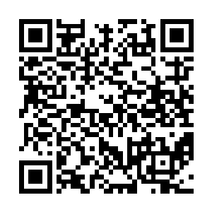 此时却是如同一座山一般的极品仙晶堆在许紫烟的跟前二维码生成