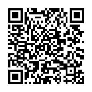 此时原本树下的造化液已经被龙傲天收取了三分之二左右二维码生成