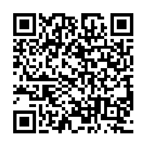 此时只见那蓝幽幽的火焰一下子就呈现出来了燎原之势二维码生成