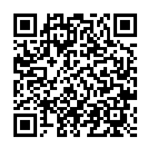此时只觉四周无垠浩瀚的元气大海都坍缩往了自家不灭元始相二维码生成