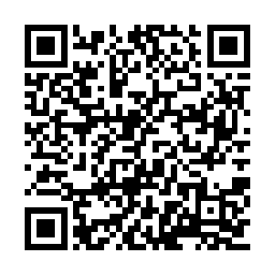 此时叶问天的动作咋看都像是饭馆上菜的服务生二维码生成