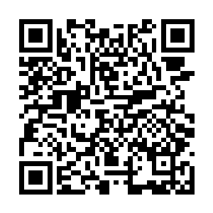 此时唯有镁光灯才能让他们那激动的心情平静下来二维码生成