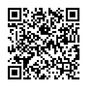 此时四家老祖正在拼命地轰击着最后一层防御护罩二维码生成