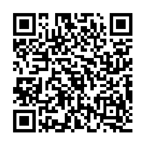 此时围在她们周围亦步亦趋的店员已经基本上把两人的关系想象二维码生成
