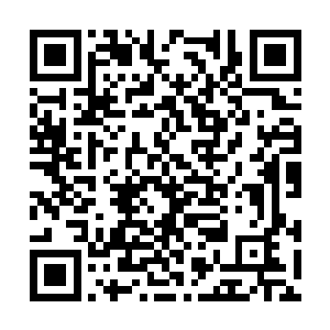 此时围坐成一圈儿的都是夏天心里最认可的亲人们二维码生成