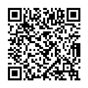 此时围绕着许紫烟周围的异界不是两个混沌兽了二维码生成